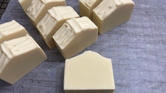 Zero Waste Aloe Shampoo - Unscented  Sensitive Formula